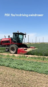 2.8K views · 20 reactions | Two hours, one Massey Ferguson 235 self-propelled windrower, and acres of alfalfa ready for harvest. This is just one of the many cuts this Arizona ranch will make before year’s end. Massey Ferguson | Empire Cat | Facebook