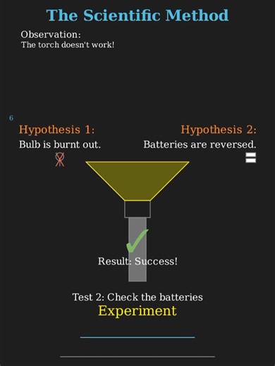 Scientific Method Explained in Biology Studies
