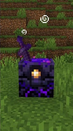 Minecraft viral ticktock hack for pe ✅👍 #minecraft #minecraftpe #viralhacks