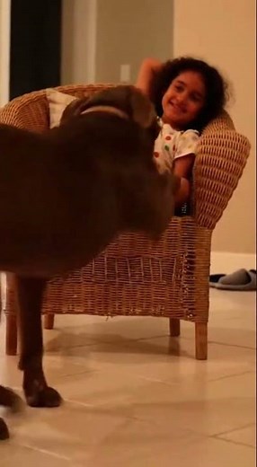 She loves her dog more than anything Watch this adorable moment #dog #puppy #petlove