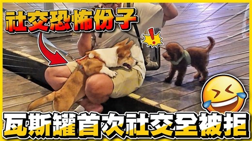 【初次社交💖】第一次交朋友全被拒🤣打完三劑出來找朋友❗❗對於P字鏈的看法⋯⋯｜狗東西日記