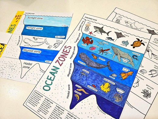 Ocean Zones Poster and Flipbook, 5 Ocean Layers, Habitat Craft, Kids Ocean Science Project, Sea Animal Coloring, Science Poster Coloring - Etsy