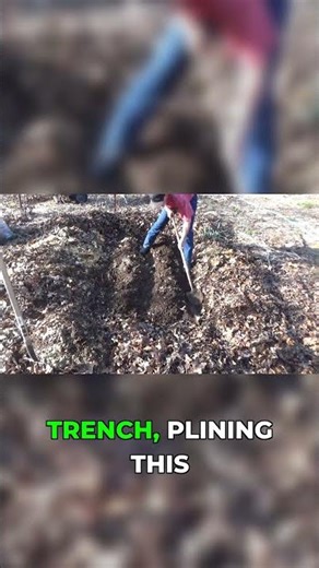 The No-Dig Guy Just Picked Up a Shovel 😱