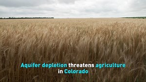 Colorado farmers are facing water crisis. Some crops can only survive on rainwater. Find out more. | CGTN America | Facebook