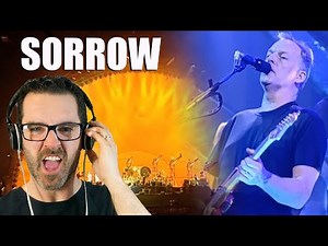 Pink Floyd REACTION ''Sorrow'' (Pulse Concert Performance 1994)