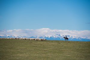 440K views · 945 reactions | The rolling foothills of Montana contain more than just adventure. #MontanaMoment | Visit Montana | Facebook