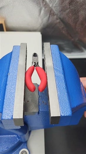 Vise vs Plier - See what happens?