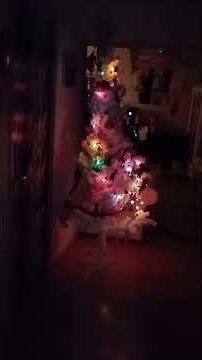 RUNO joulun odotus ja juhla. 14.12.2025☆♡☆