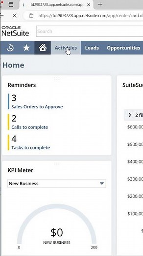 Additional NetSuite Dashboads