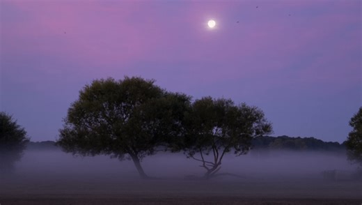 Important Photo Editing Fundamentals for New Photographers