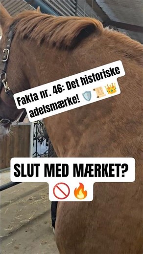 Historien bag det kronede F! 🐎✨👑