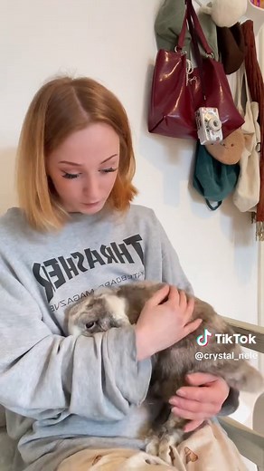 Hebt eure Kaninchen von anfang an hoch!