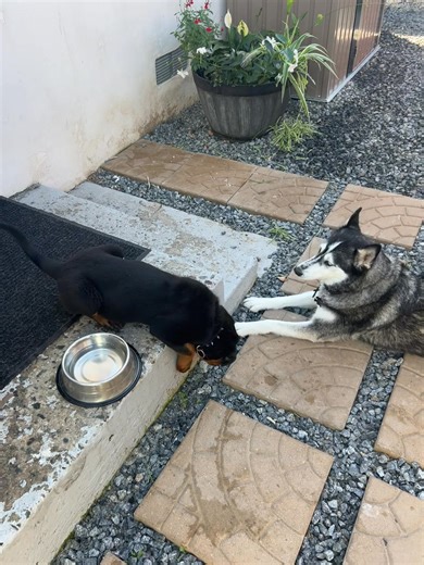 Hector Rodriguez on Reels