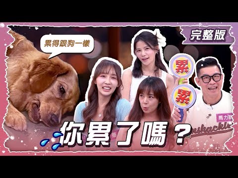 女星返台入境遭查「行李挾帶違禁品闖關」真兇反應傻眼！秒開罰25萬 | 娛樂星聞