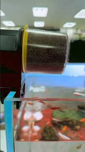 This Automatic Fish Feeder Just Got 74K Likes And Every Fish Keeper Needs This 😱🐠