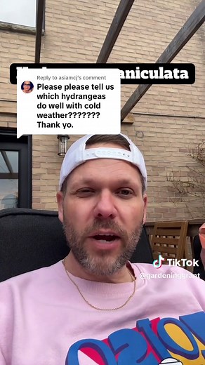 Choosing the Best Hydrangeas for Cold Climates