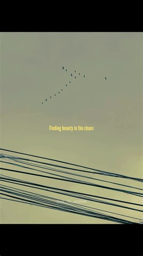 Zebin fathima :) on Instagram: "The art of noticing :)"