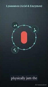 The Trojan Horse Pathogens: How Bacteria Hide Inside Immune Cells 🦠🐴