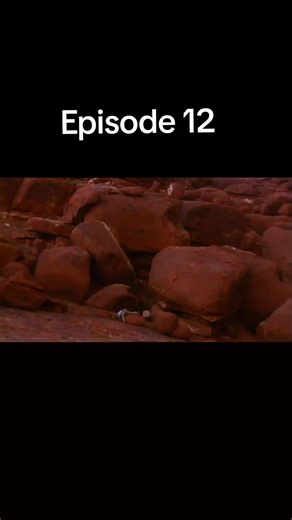 Men vs Wild Episode 12: Survival Skills in the Wilderness