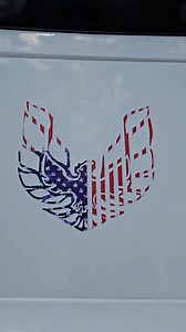 1979 Pontiac Trans-am 3rd Semi-Annual Children's Miracle Network Hospital Carshow Ripley West Virginia William Erb | JUNKCAR WILLY