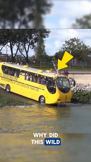 River Shortcut Taken by Bus Driver A bus driver shocked passengers by steering straight into a river after GPS suggested it as the fastest route. One passenger panicked, thinking they’d left their stove on, pushing the driver to rush. Thanks to his skill, everyone made it out safely. A dramatic reminder of why safe navigation matters. credits: Unimedien, tosjeck, HD1080ide, MrRitzema /YT #busdriver #waterbus #watertransport #busdriving #technology | Daily Facts