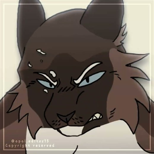 [#hawkfrost] edit! // #warriorcatsedit #blurrr #editingvideo #catsofyoutube