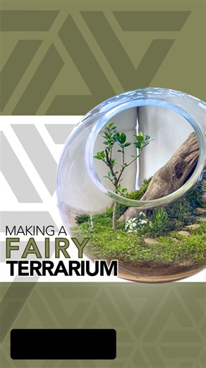 213K views · 6K reactions | Here’s a tutorial on how I made a fairy terrarium 栗 #terrarium #terrariumdesign #terrariumlove #terrariumdreams #moss #howto #diy #fyp #terrariumsofinstagram #portland #cactus #succulents #beaverton #pdx #plantshop #local #smallbusiness #plantsplantsplants #plants #plantsmakepeoplehappy #plantsoffacebook | Johnathon Q Swanson | Facebook
