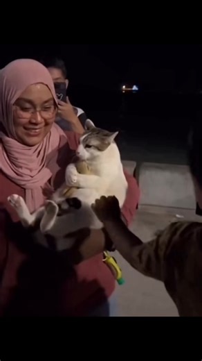 Damn bro give it back:( #fyp #foryou #foryoupage #fnaf #springtrap #pain #sad #cat