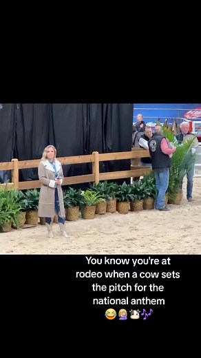 You know you're at rodeo when a cow sets the pitch for the national anthem! 😂🤦🏼‍♀️🐮🎶 RODEOHOUSTON #rodeo #rodeohouston #nationalanthem | Susan Hickman
