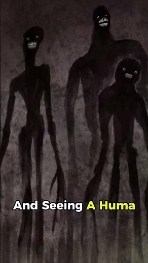 👤 THE SHADOW PEOPLE #darkhistory #unearthedsecrets #realmystery