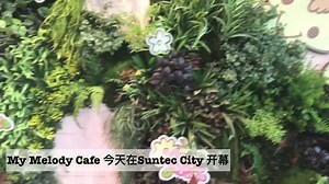 My Melody Cafe 今天开始营业啦！粉嫩可爱的环境里用上🍓草莓主题餐点，不知不觉人也变粉嫩了💕 详细介绍>>>bit.ly/melodysg #mymelodycafe My Melody Café Singapore #mymelody #melody #iweekly #iweeklyeats | vibes by 8world