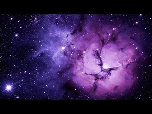 David Wilcock: Ancient and Modern Prophecies of Current Events... and Beyond