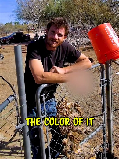 Stolen Bike Trade: A Risky Encounter