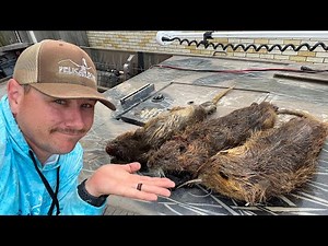 Hunting INVASIVE SPECIES ( Hunting NUTRIA in Southeast Louisiana )