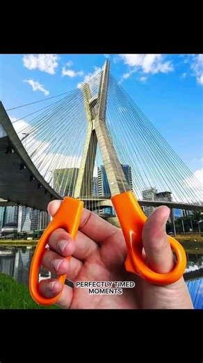 PERFECTLY TIMED PHOTOS