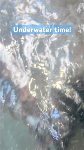 Underwater time! At a wave pool #greatwolflodge #kidsvideo #pool