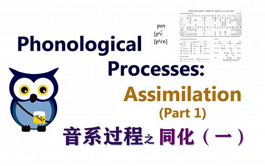 【语言学】同化（一）| Phonological Processes: Assimilation (Part 1)