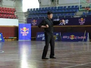 Foshan - Wing Chun Siu Nim Tau