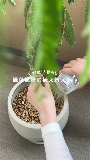 植物の新しい鉢への移植体験！BotaNiceでサポート！