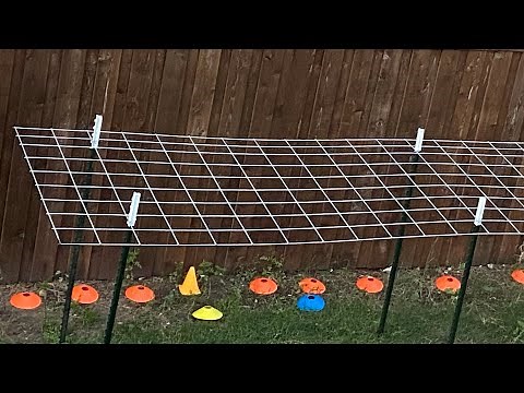 5 Easy Trellis ideas for your backyard