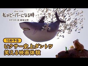 「私がビーバーになる時」15秒予告｜ピクサー史上断トツ笑える映画体験｜3月13日（金）劇場公開！