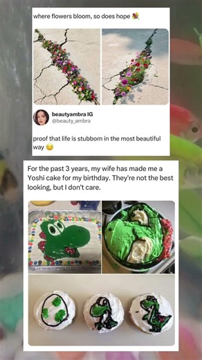Funny DIY Yoshi Cake Progress Over 3 Years That Feels So Real 🍰✨