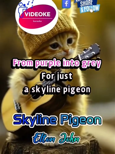 Skyline Pigeon - Elton John #karaoke #singalong #musiclover #fypシ゚viral
