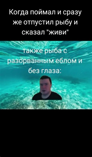 Thank you very much #recommendations #active #meme #fish