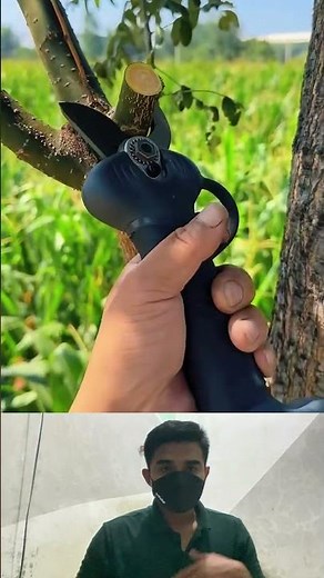 Electric Tree Cutter | Satisfying Branch Cutting