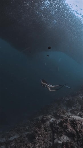 Embracing Freedom: Being Alone Doesn't Mean Lonely