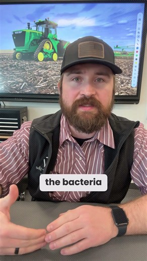 These plants make their own fertilizer through a biological process. #farming #agriculture #soil