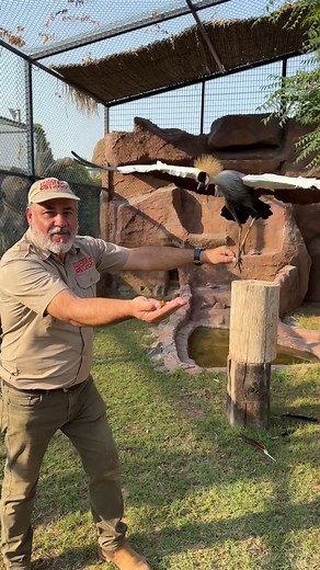 Jayprehistoricpets on Reels