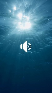 🎧 Le chant du jour Aujourd’hui, nous vous partageons un chant vibrato de baleine à bosse, fluide et structuré, enregistré chez un mâle chanteur bien connu. 🐋 Il s’appelle Heiana. 👉 Heiana est référencé dans le catalogue Oceania et dispose également d’un profil sur HappyWhale, avec une photo de sa caudale permettant son identification individuelle : 🔗 https://happywhale.com/individual/147008 Ce type de chant, riche en variations, nous aide à mieux comprendre les comportements des mâles chante