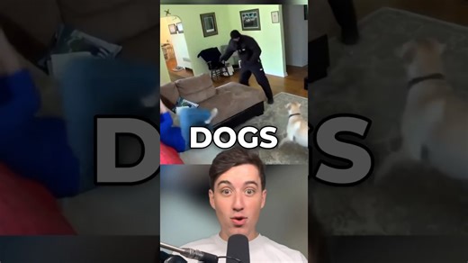 How dogs react when tested to defend their owners
